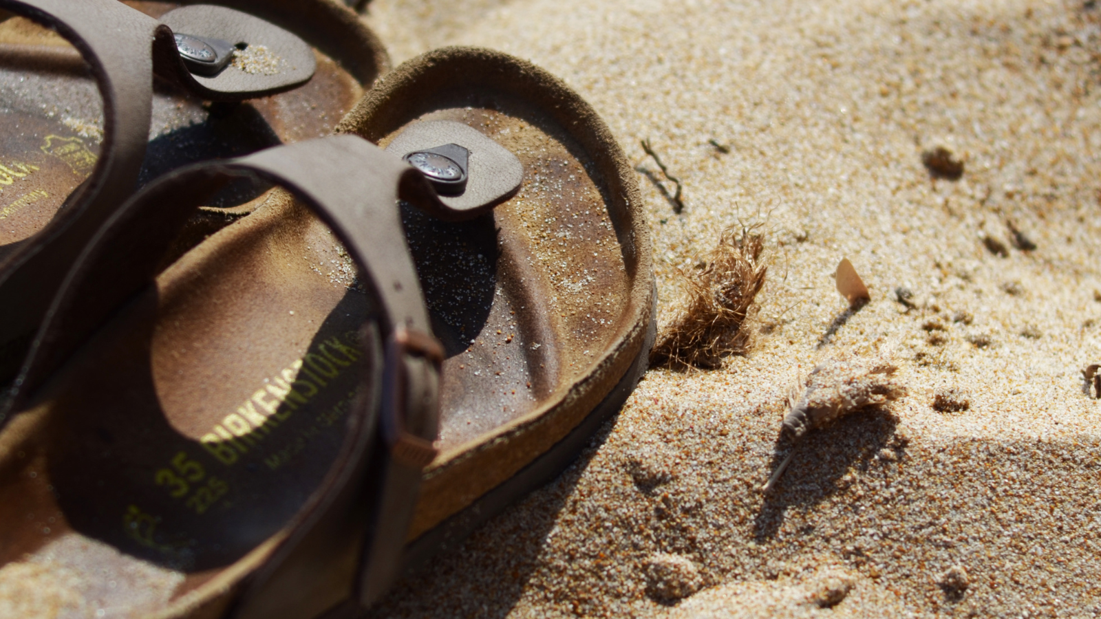 Perché le Birkenstock vanno di moda? / Articoli utili Perché le Birkenstock vanno di moda